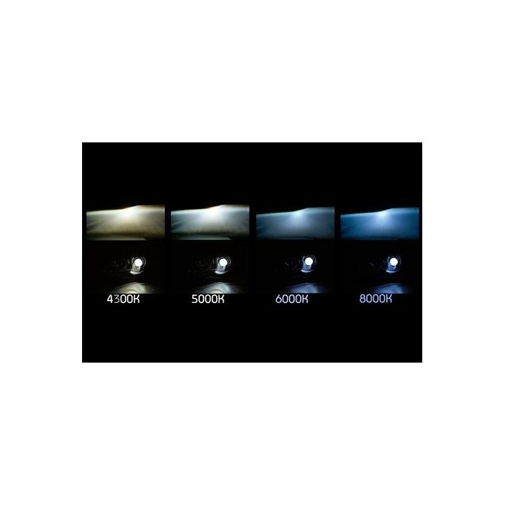 D1S Original Xenonlampa 35W (2-pack)